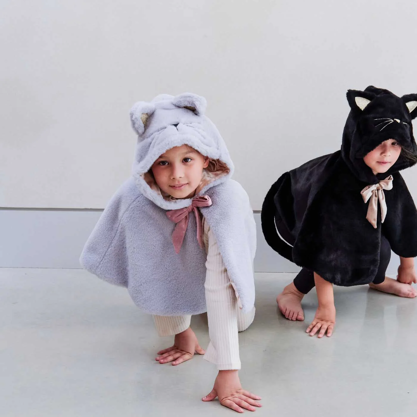 Cat dress up - Image 4