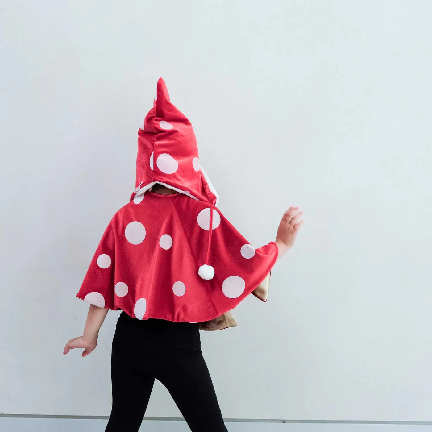 Toadstool dress-up set - Image 3